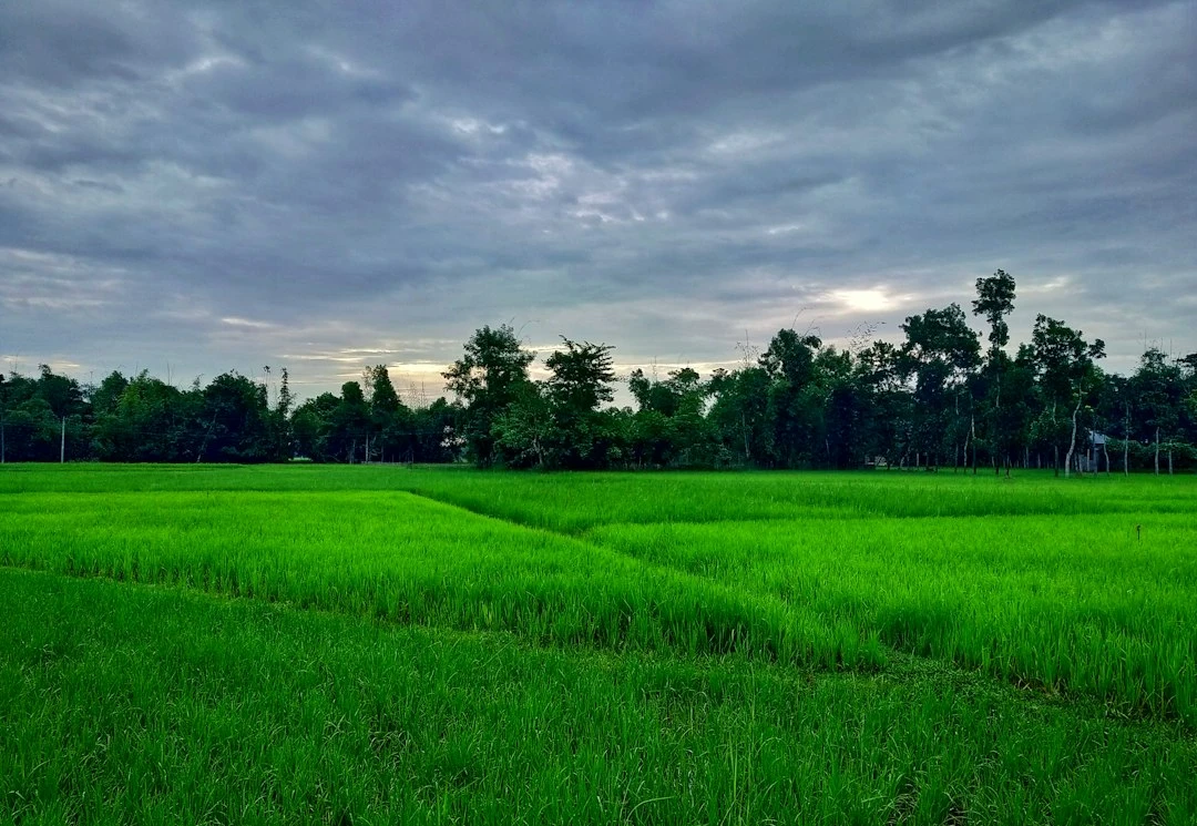 du-lich-long-an-huong-dan-chi-phi-dia-diem-tu-chuyen-gia