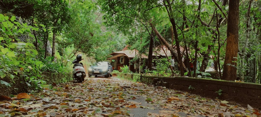 Đánh giá tích cực từ khách hàng trên nền tảng homestay 4S