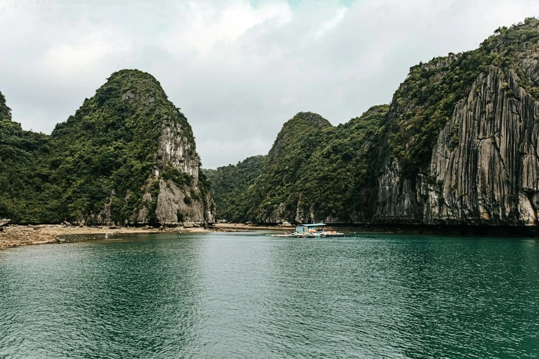 Du khách chèo thuyền kayak ở Lan Ha Bay với vách đá vôi nổi tiếng