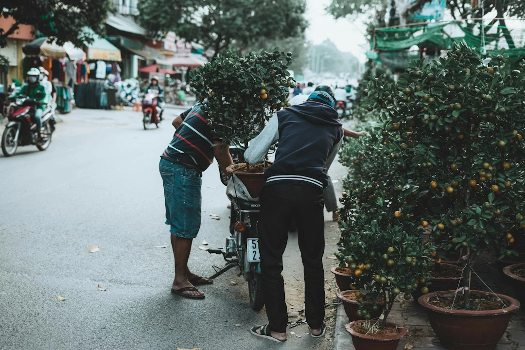 Du khách Việt Nam tìm kiếm thông tin du lịch dịch sang tiếng Anh trên trang web đặt phòng