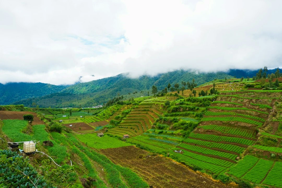 Hoạt động du lịch bền vững và nông nghiệp tại homestay Zemabawk Mizoram