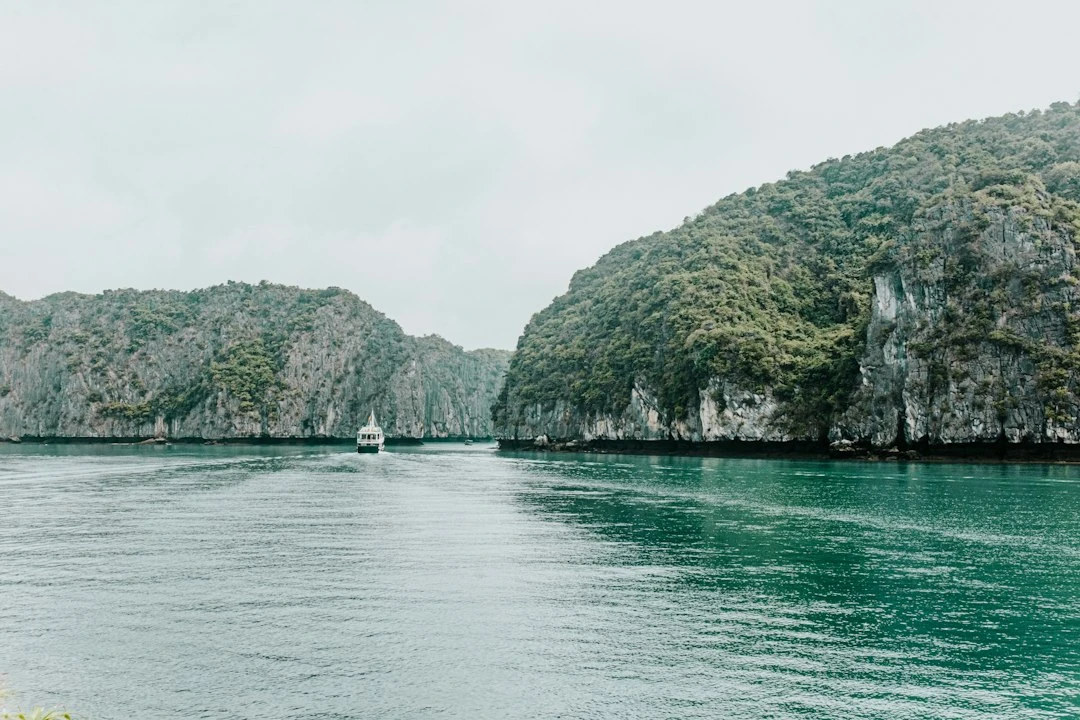 Hoạt động kayaking vịnh Lan Hạ Cát Bà du lịch