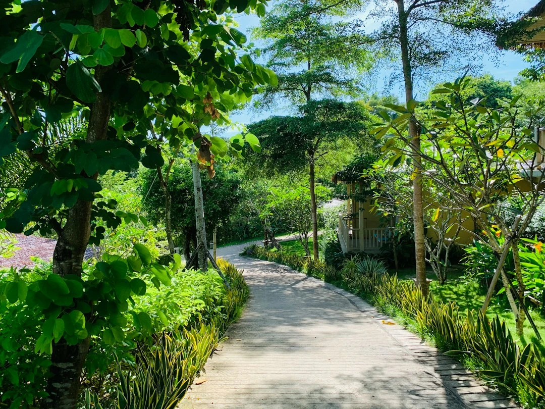 Homestay Phú Quốc đạt 4.5 sao với khu vườn xanh và tiện nghi hiện đại