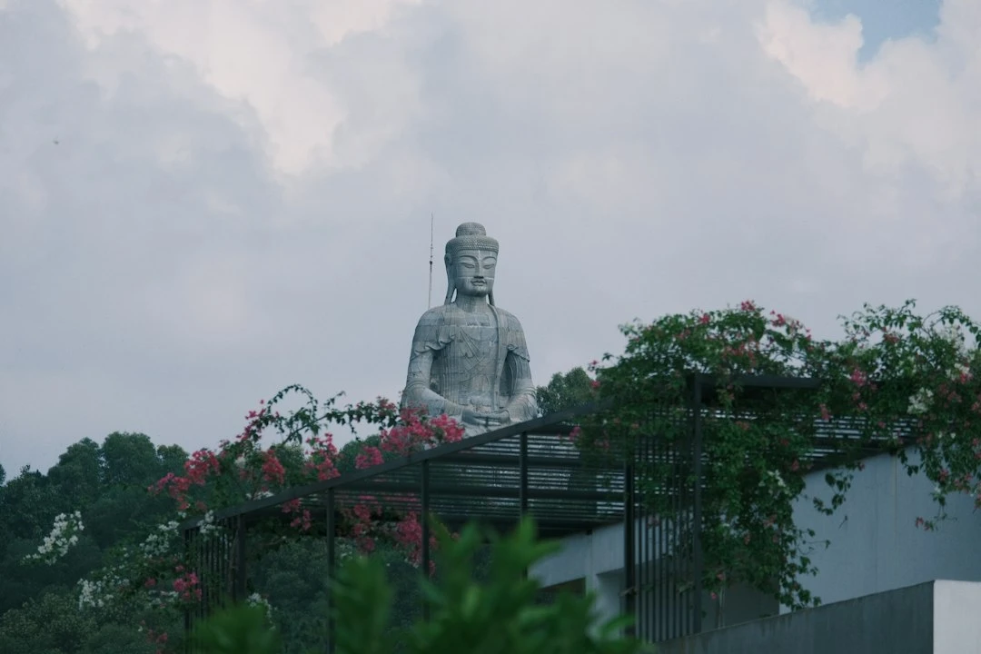 Khu resort wellness với không gian thiền định, yoga ngoài trời, ánh sáng tự nhiên, môi trường yên tĩnh