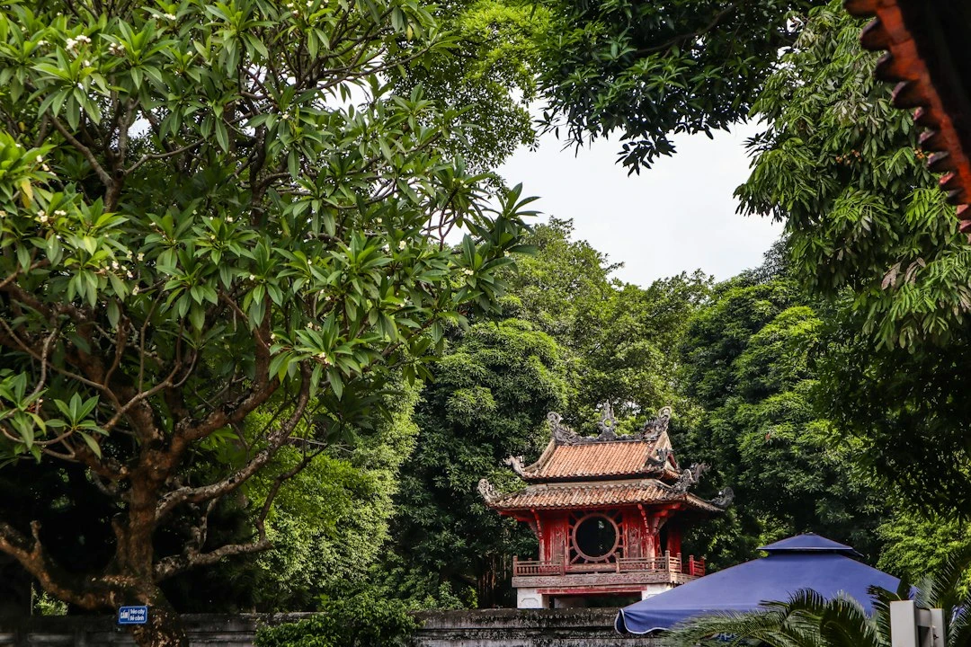 Kiến trúc độc đáo của Chùa Vĩnh Tràng Long An kết hợp phong cách Á-Âu