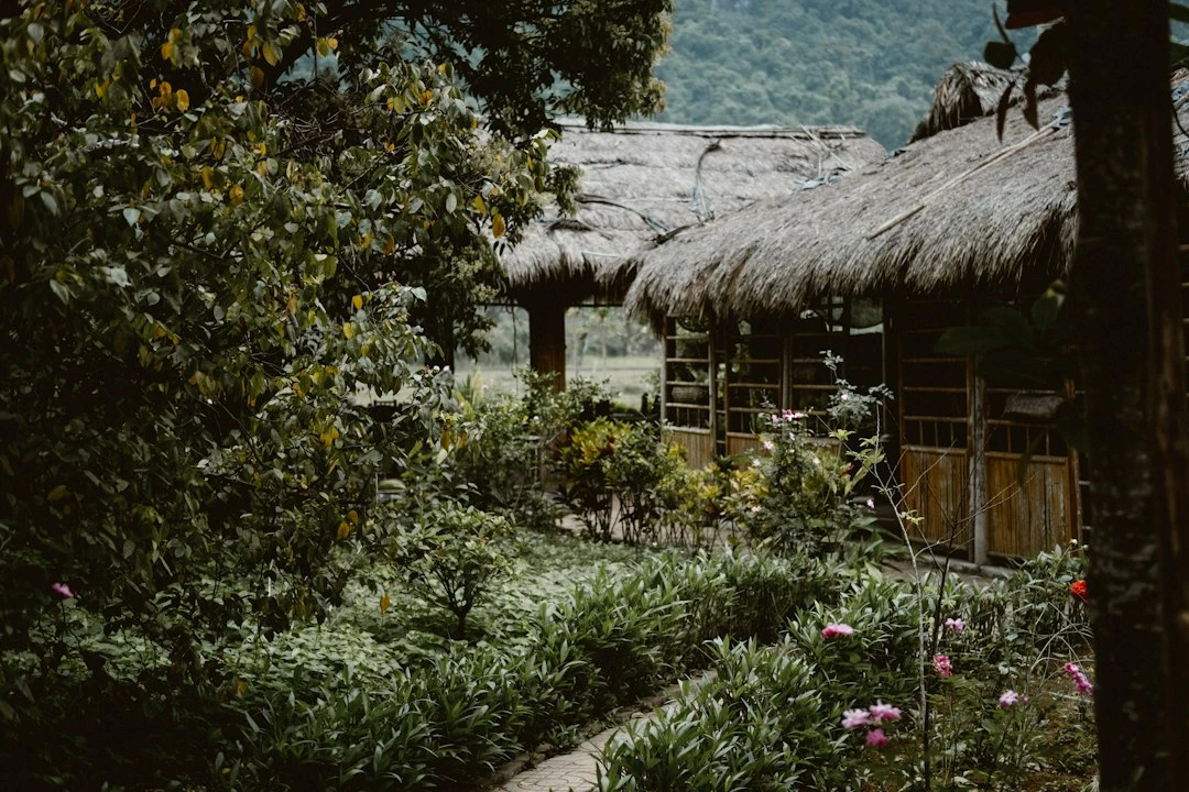 Kiến trúc homestay Lô Lô Chải Sa Pa với gỗ và đất nện, phong cách H'Mong truyền thống