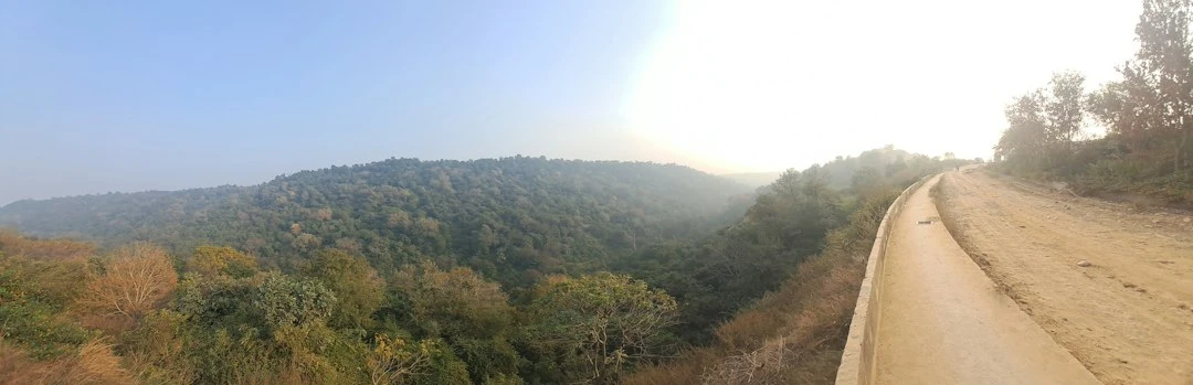 Lộ trình trekking Tà Xùa với đường sá gập ghềnh qua rừng sâu